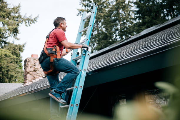 Best Roof Moss and Algae Removal  in Mount Washington, KY